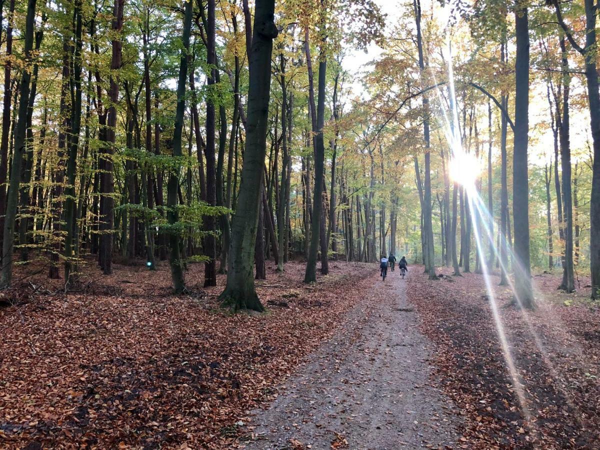 Wypoczynek W Domu Nad Morzem Lukecin Exterior foto